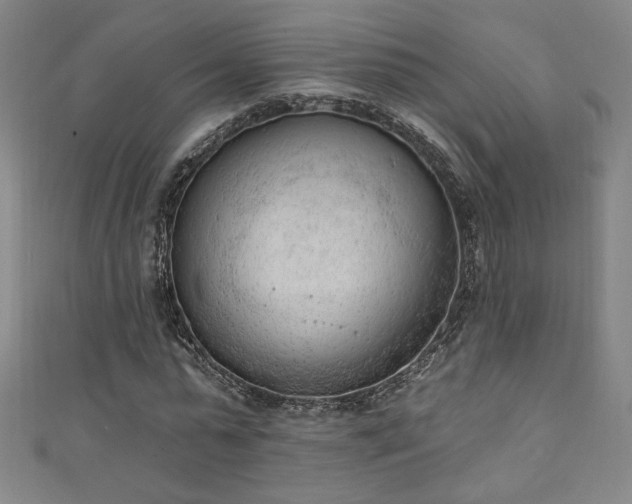 X0000111130775200906301209