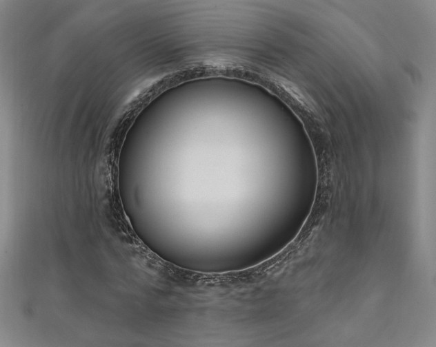 X0000111130776200906301209