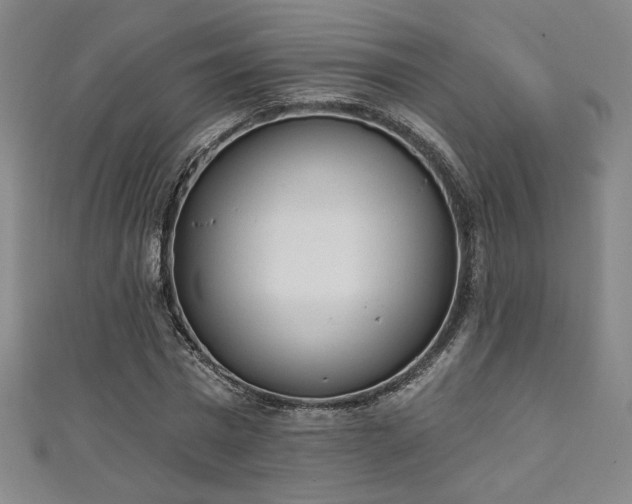 X0000111130777200906301209