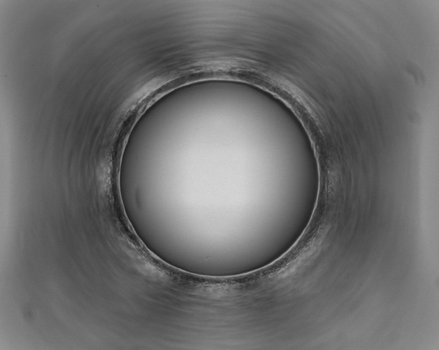 X0000111130778200906301209