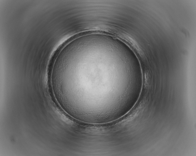 X0000111130780200906301209
