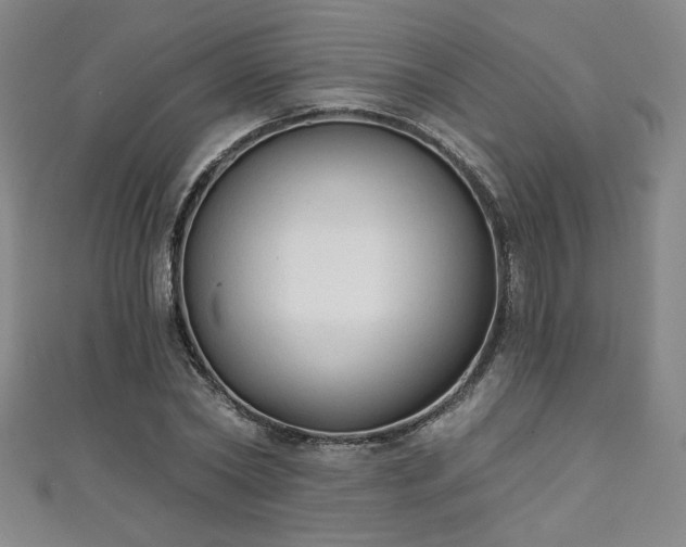 X0000111130782200906301209