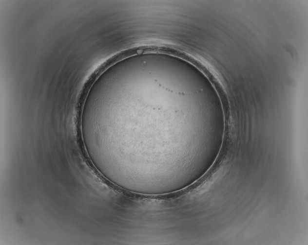 X0000111130783200906301209
