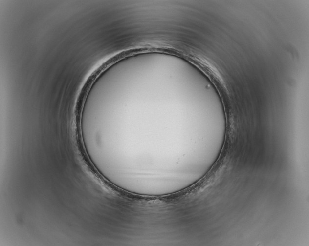 X0000111130784200906301209