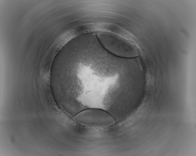 X0000111130785200906301209
