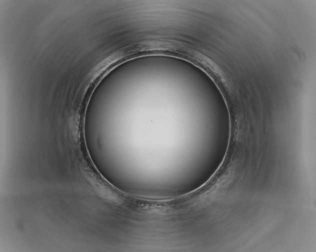X0000111130786200906301209