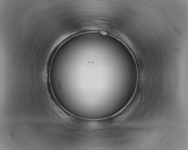 X0000111130787200906301209