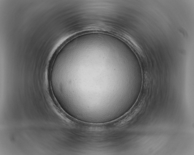 X0000111130788200906301209