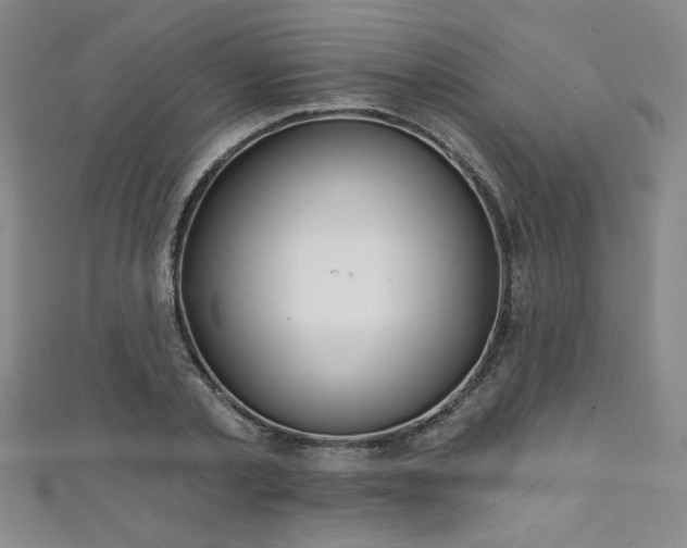 X0000111130789200906301209