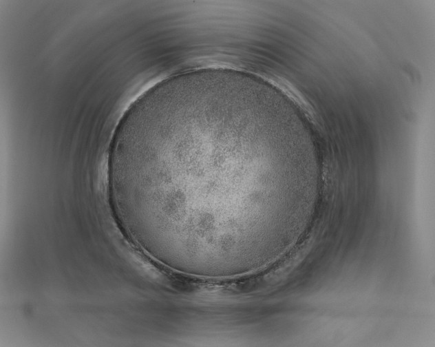 X0000111130790200906301209