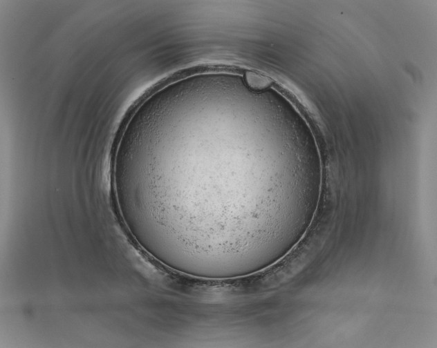 X0000111130791200906301209