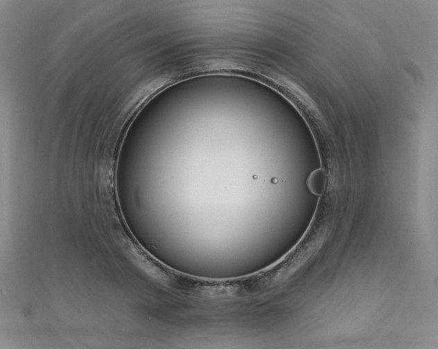 X0000111130793200906301209