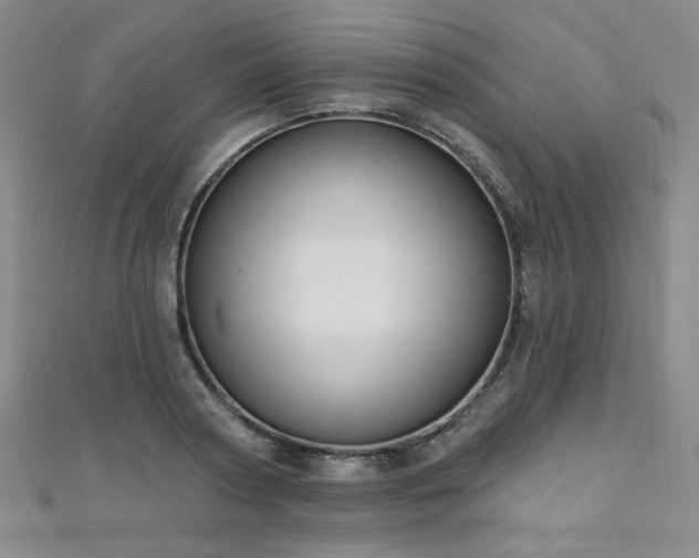 X0000111130794200906301209