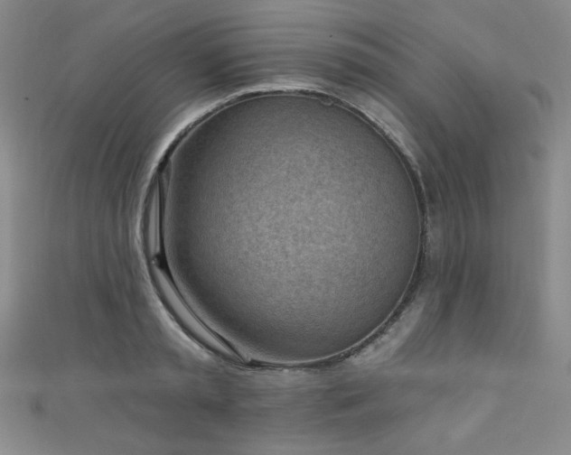 X0000111130797200906301209