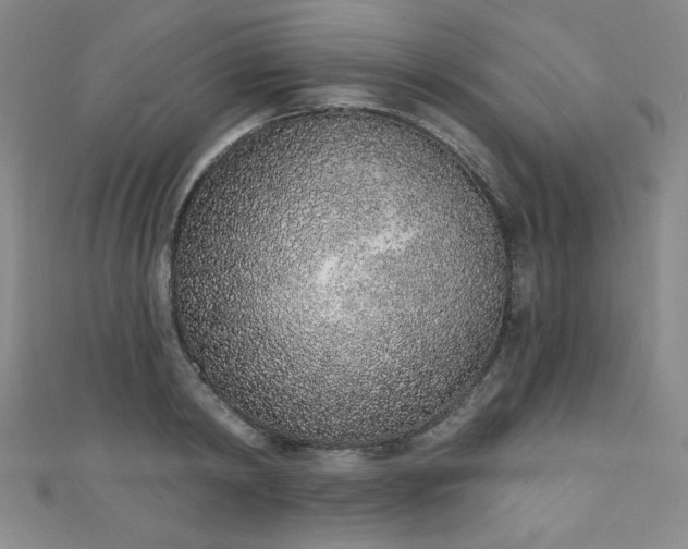 X0000111130798200906301209