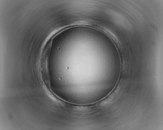 X0000111130800200906301209