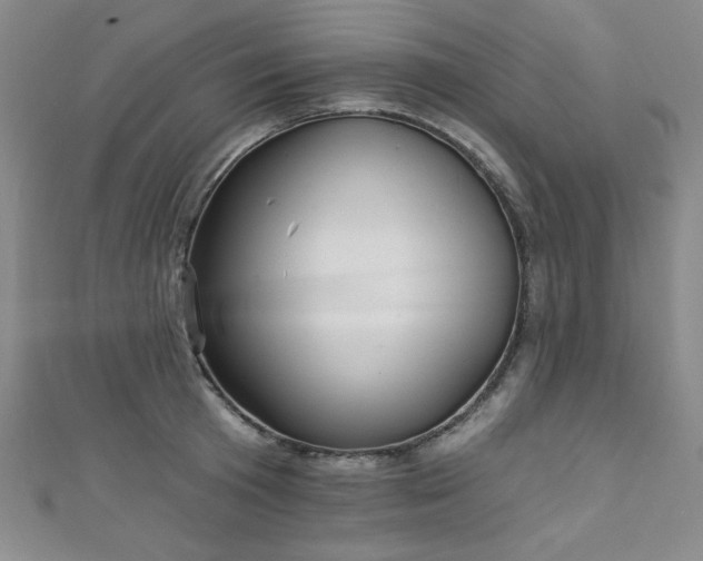 X0000111130801200906301209