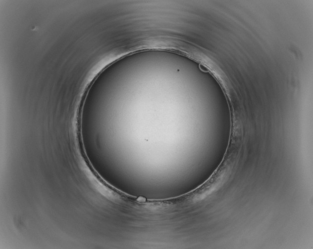 X0000111130803200906301209