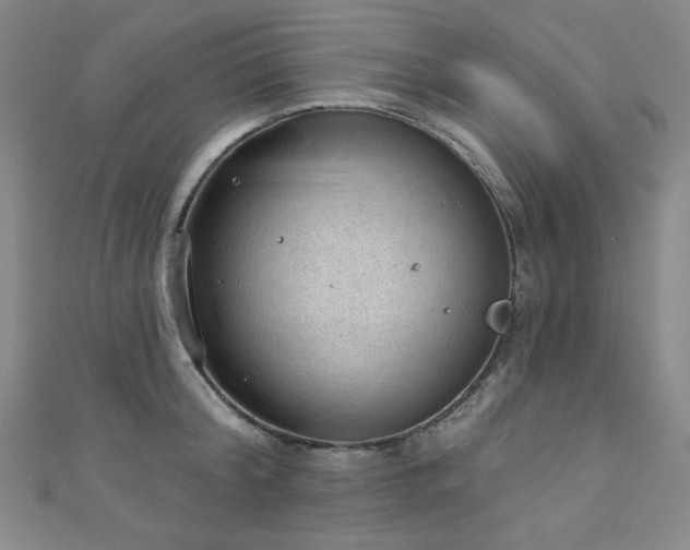 X0000111130804200906301209