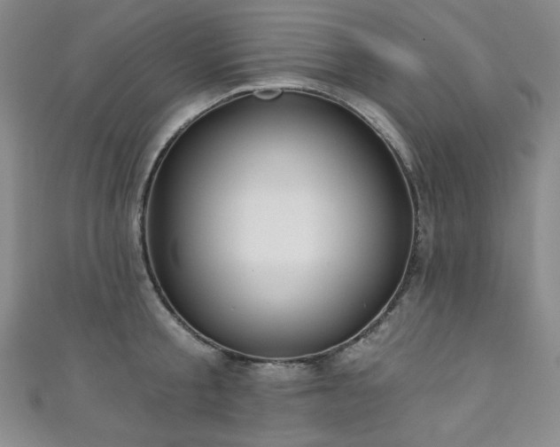 X0000111130805200906301209
