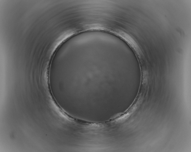 X0000111130806200906301209