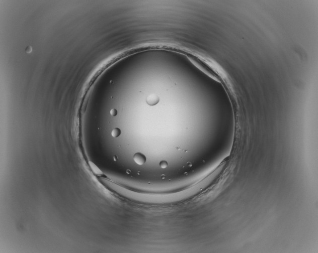 X0000111130807200906301209