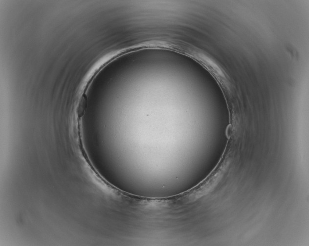 X0000111130808200906301209