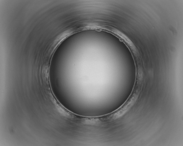 X0000111130809200906301209