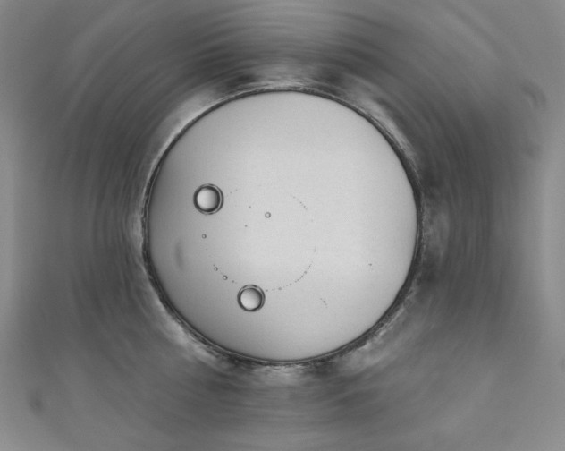 X0000111130810200906301209