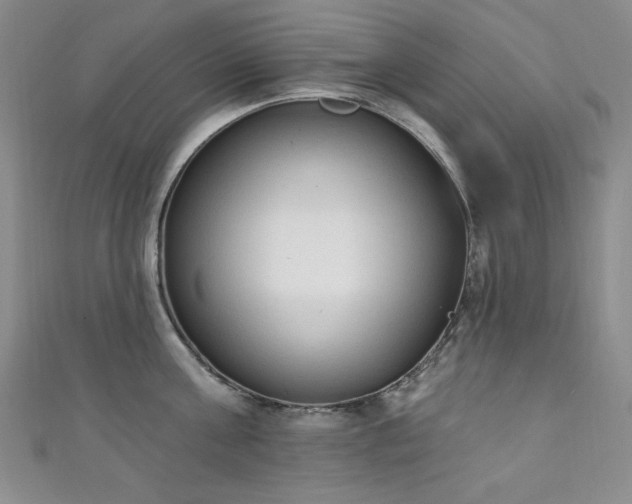 X0000111130811200906301209