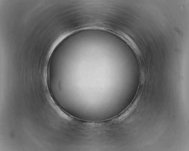 X0000111130812200906301209