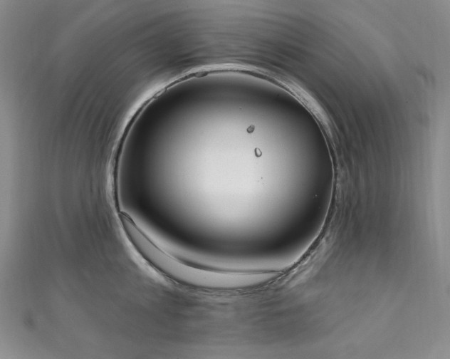 X0000111130813200906301209
