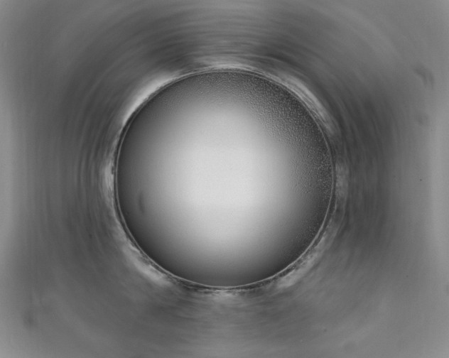 X0000111130814200906301209