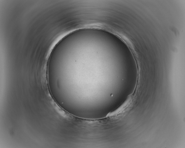 X0000111130816200906301209