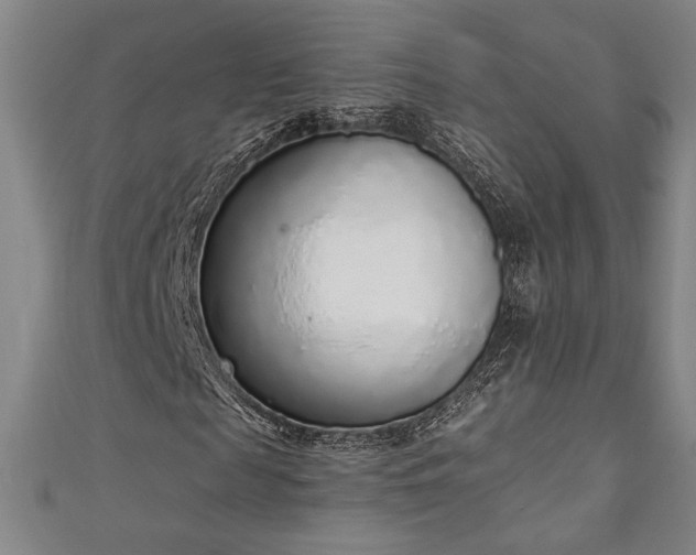 X0000111130817200906301208