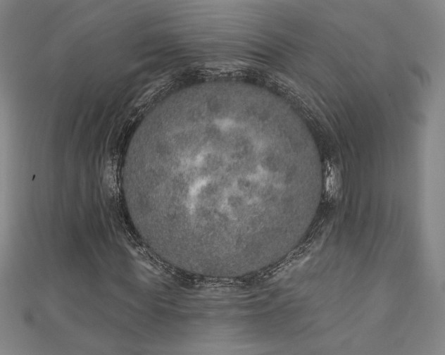 X0000111130819200906301208
