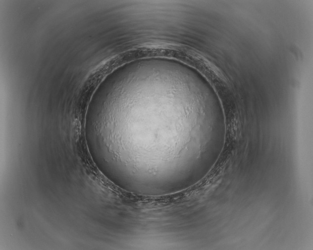 X0000111130821200906301208