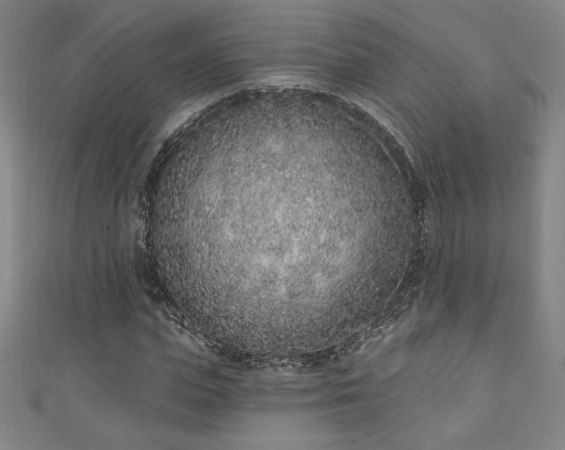 X0000111130823200906301208