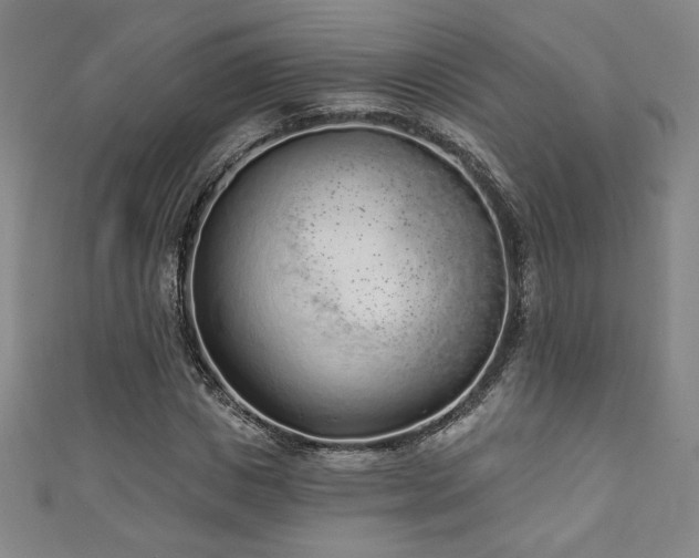 X0000111130825200906301208
