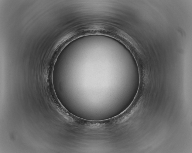 X0000111130826200906301208
