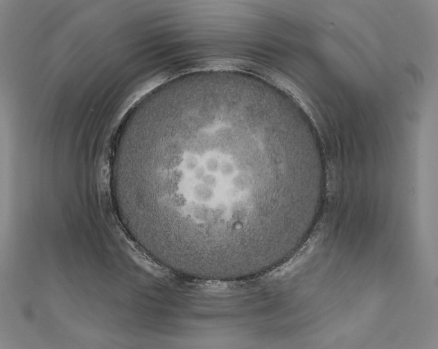 X0000111130827200906301208