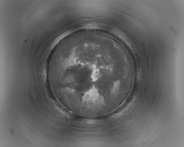 X0000111130829200906301208