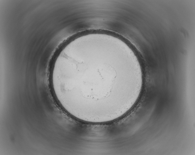 X0000111130832200906301208