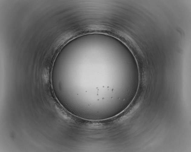 X0000111130833200906301208