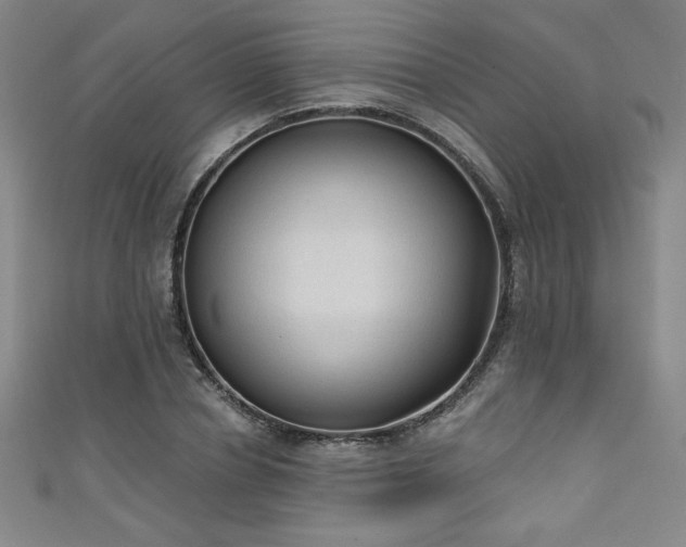 X0000111130834200906301208