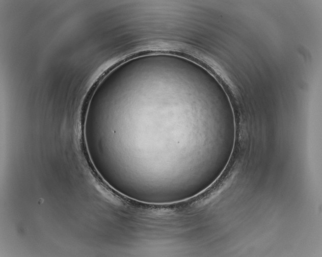X0000111130837200906301208