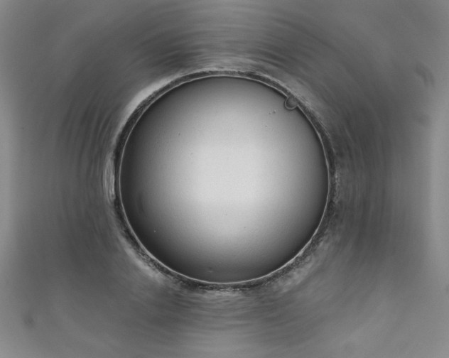 X0000111130838200906301208