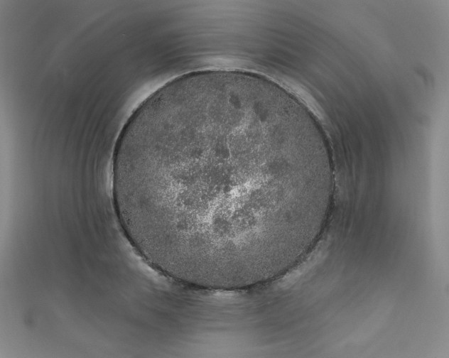 X0000111130839200906301208