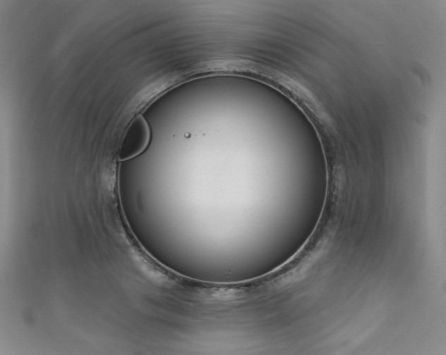 X0000111130841200906301208