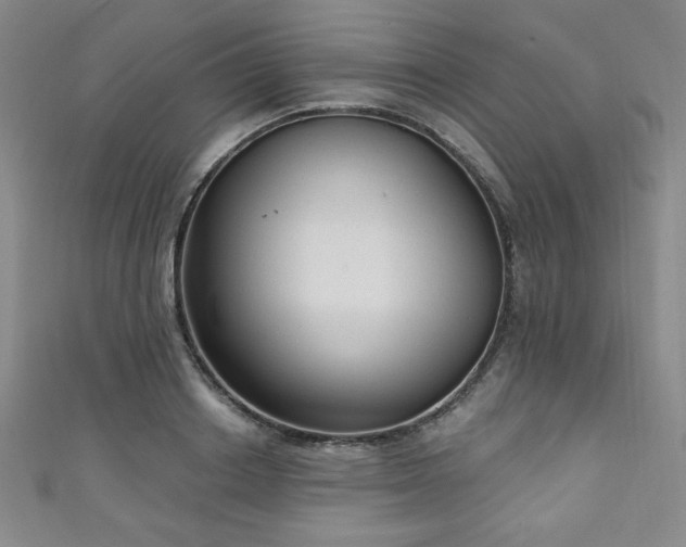 X0000111130842200906301208